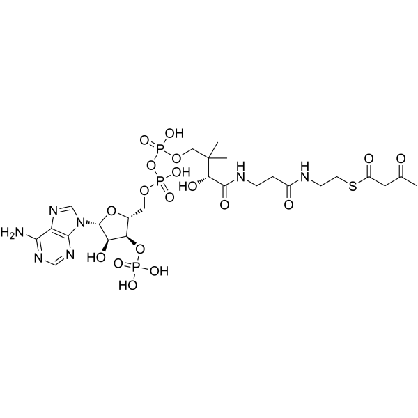 Acetoacetyl-CoA 1420-36-6